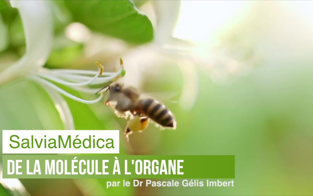 De la Molécule à l’organe