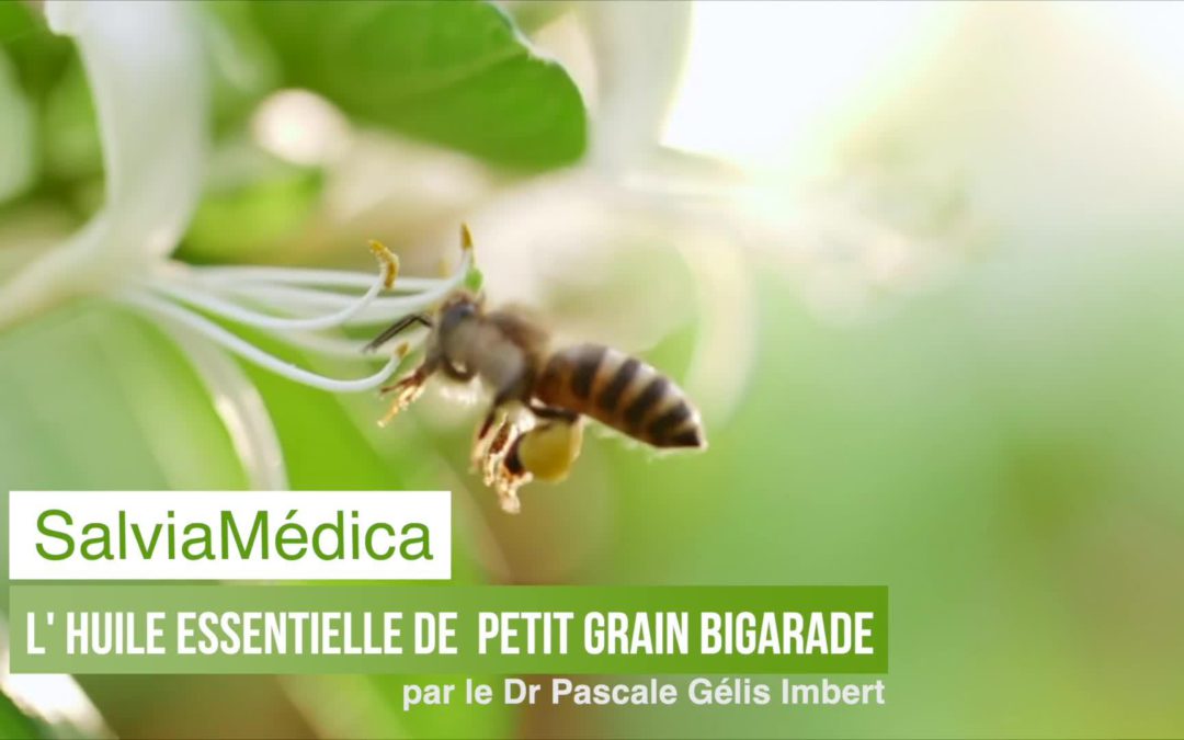 HE de petit grain bigarade