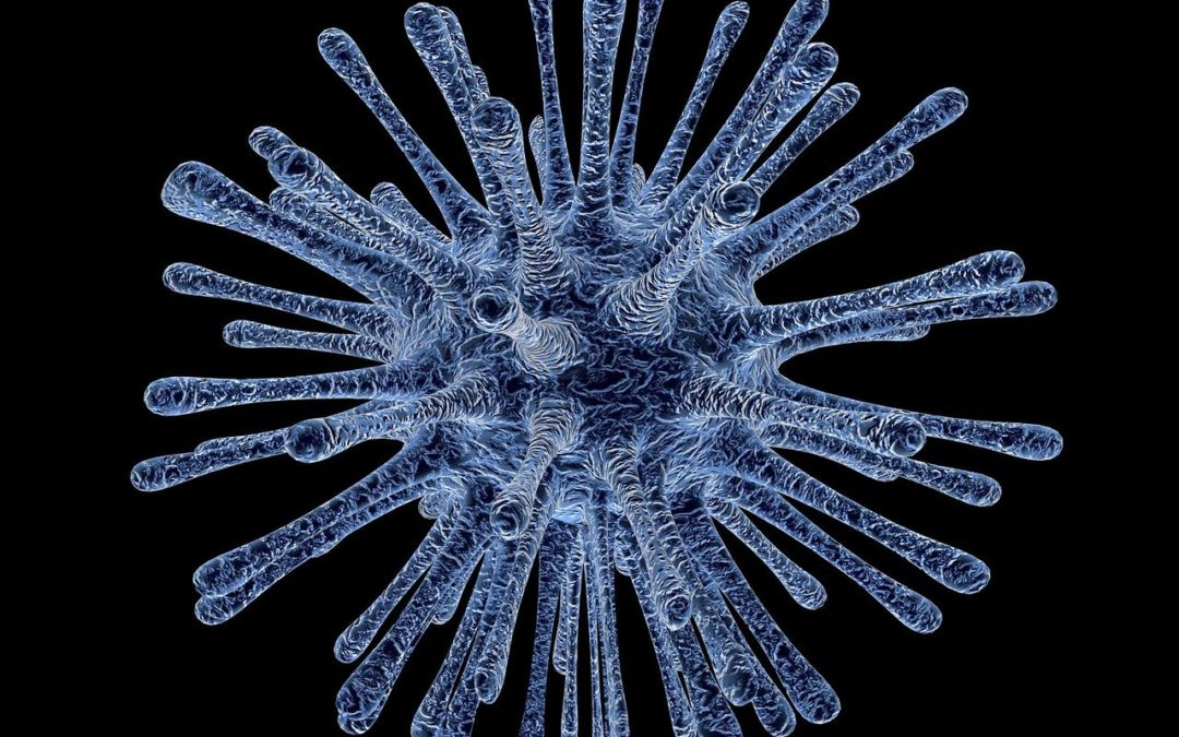 Le coronavirus